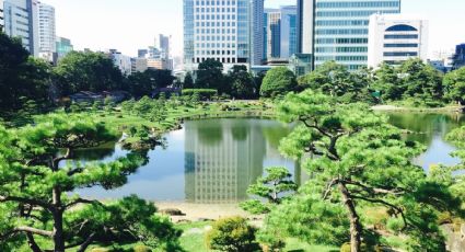 Tres infraestructuras que demuestran que Japón es líder mundial en tecnología y sustentabilidad