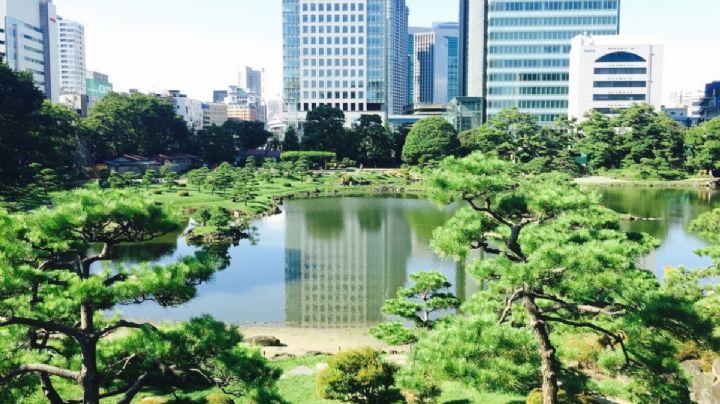 Tres infraestructuras que demuestran que Japón es líder mundial en tecnología y sustentabilidad