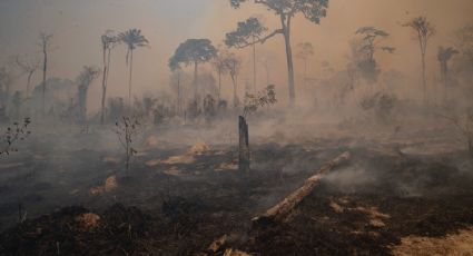 ¿Qué es el cambio climático y cómo afectará a América Latina y el Caribe, las zonas más vulnerables?