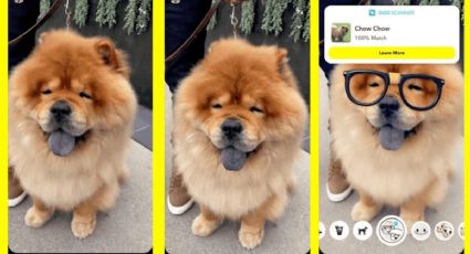 Snapchat: así puedes resolver ecuaciones matemáticas, reconocer razas de perros y plantas