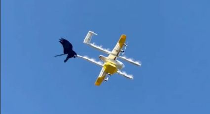 Google suspende su programa de entrega de paquetes con drones por ataques de aves