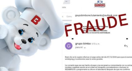 Envían VACANTES para trabajar en BIMBO pero es FRAUDE; así operan estas ofertas falsas