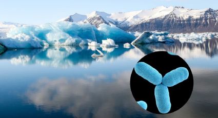 El derretimiento de los glaciares podría desatar la próxima pandemia; esta es la razón