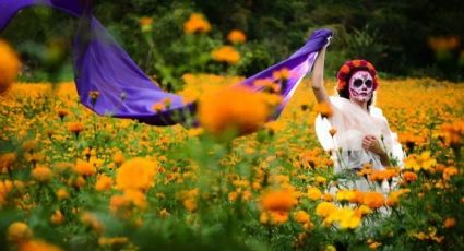 La leyenda de la flor de cempasúchil: la historia de amor y muerte de dos jóvenes aztecas