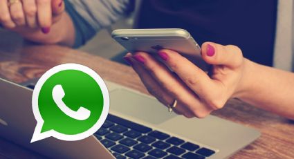 Ahora podrás buscar empresas por nombre en WhatsApp; así funciona