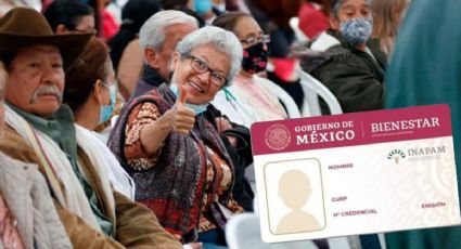 Credencial INAPAM ¿Cómo solicitar el apoyo de despensa para adultos mayores?