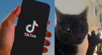 ¿Qué son los dabloons y por qué se han convertido en tendencia en Tik Tok?