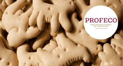 Profeco: Por esta razón las galletas de animalitos no son buenas para la salud