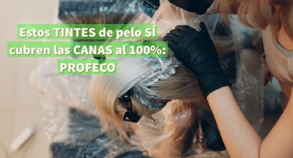 ¿Cuáles son los tintes de cabello que SÍ cubren las canas al 100 por ciento según Profeco?