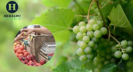 Este es el precio de la uva en mercados de la CDMX para recibir el año nuevo 2023