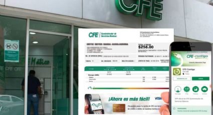 CFE: ¿Cómo descargar mi recibo de luz desde la app? Así puedes consultar e imprimir