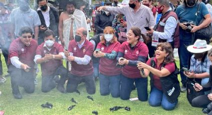 ¿Los AJOLOTES liberados en Xochimilco morirán? UNAM señala peligros detrás de esta 'mala idea'