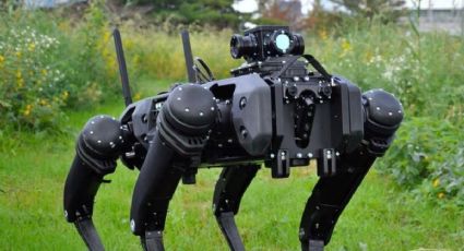 Perros robots vigilarán frontera de Estados Unidos y México para evitar cruce de personas migrantes