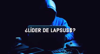 Adolescente de 16 años que vive con su madre ¡es el líder del temido grupo de hackers LAPSUS!