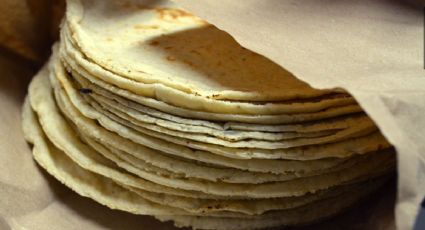 PRECIO de la TORTILLA se dispara hasta los 24 pesos el KILO en estos estados