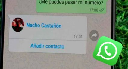 ¿Cómo saber si alguien guardó tu número en WhatsApp y con qué NOMBRE te tienen agregado?