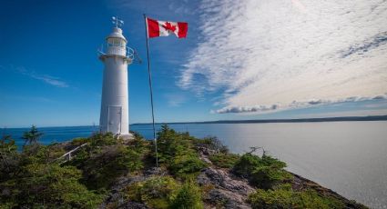 ¿Cómo y DÓNDE postularte en la VACANTE de CARNICERO para trabajar en Canadá por 40,000 al mes?