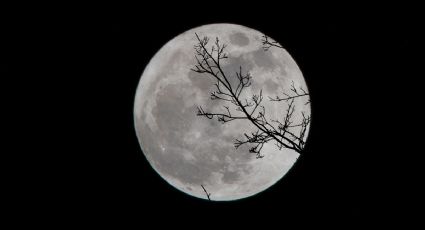 ¿Cuándo es la Súperluna de Ciervo 2022? La LUNA LLENA más grande del año llega en JULIO