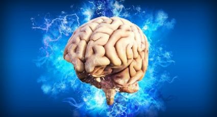 ¿Quieres un cerebro saludable? Nutricionista de Harvard te dice la vitamina que debes tomar