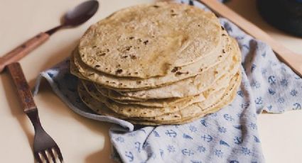 ¿Qué estados venden el kilo de tortilla más caro y barato en México?: LISTA agosto 2022