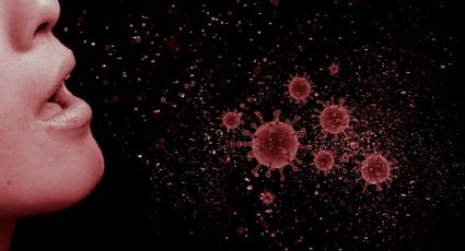 Henipavirus Langya: ¿Cuáles son los síntomas y cómo se contagia el virus descubierto en China?