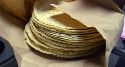 Detectan tortillas pirata en México por aumento del costo de insumos; así puedes identificarlas