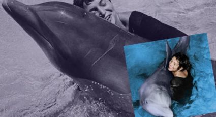 Una mujer y un delfín se enamoraron en investigación de la NASA; el animal se quitó la vida