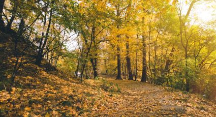 Equinoccio de otoño: Hora y fecha de cuándo inicia este fenómeno en México