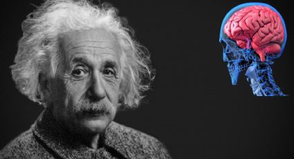 ¿Por qué Albert Einstein era tan inteligente? Revelan si su cerebro era diferente al promedio