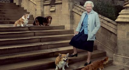 ¿Cuántos corgis tuvo la Reina Isabel II y qué pasará con ellos tras su muerte?