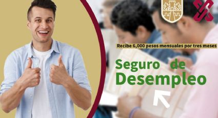 Seguro de DESEMPLEO 2023: ¿Cómo pedir el APOYO de 6,000 pesos en CDMX? REQUISITOS