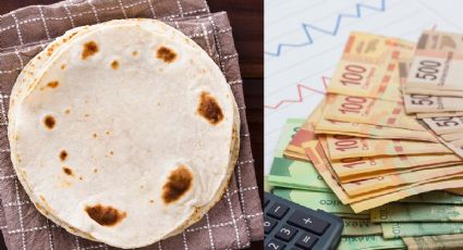 Kilo de TORTILLAS por lo cielos; llega a los 29 pesos y subirá aún más