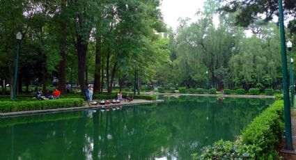 ¿Quieres salir y tienes poco dinero? 4 parques GRATIS que puedes visitar en CDMX