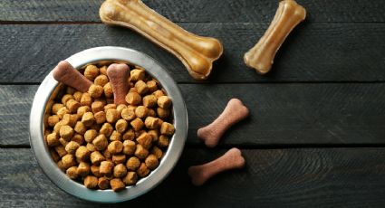 ¿Cuánto cuesta el kilo de croquetas para perro?