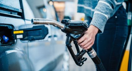 ¿Cuáles son los automóviles que más gasolina ahorran en el 2023?