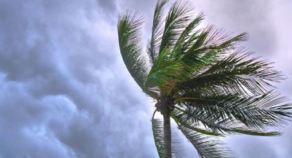 Así puedes seguir la trayectoria de las tormentas tropicales Max y Lidia EN VIVO