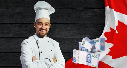 Canadá lanza EMPLEO para cocinero con SUELDO de 35,000 pesos mensuales y vacaciones adicionales | REQUISITOS