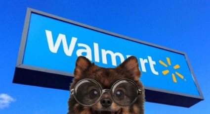 ¿Walmart es PET FRIENDLY? Así puedes llevar a tus perritos a la tienda