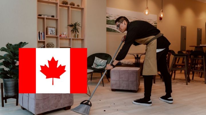 Canadá lanza VACANTE para supervisor de limpieza con sueldo de 26 dólares la hora | REQUISITOS