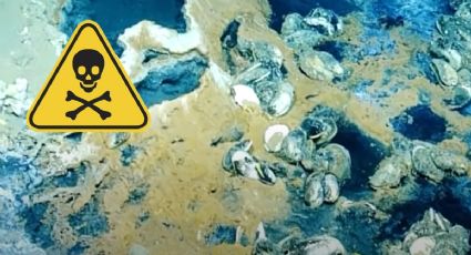Esta es la historia del lago mortal que hay en el fondo del mar; está en el Golfo de México | VIDEO