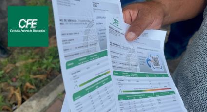 CFE: Estos son los municipios donde no se pagará el recibo de luz hasta 2024