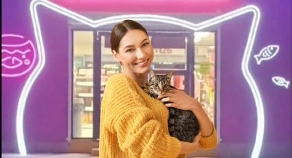 ¿Dónde está el Michi OXXO, tienda con temática de gatos? | UBICACIÓN