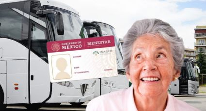 Estos son los DESCUENTOS con la tarjeta INAPAM que tendrán los adultos mayores para viajes en autobuses durante vacaciones