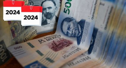 Salario mínimo 2024: Anuncian 20% de AUMENTO que entra en vigor a partir del 1 de enero; esto ganarás al día