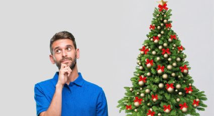 Árbol de Navidad: ¿Cuánto pagarías de multa por dejarlo en la calle?