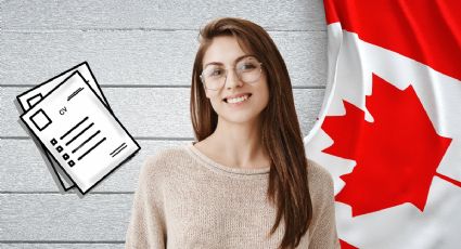 Canadá lanza EMPLEO remoto con SUELDO de hasta 70,000 pesos mensuales | REQUISITOS