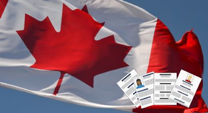 Embajada de Canadá lanza vacante con sueldo de 618 mil pesos al año | Requisitos