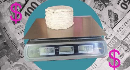 Tortillas se venden hasta en 31 pesos por kilo durante enero del 2024, ¿en qué lugares?