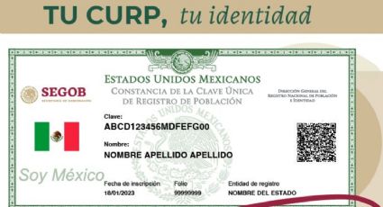 CURP certificada, ¿Qué es y cómo obtenerla en el 2023?