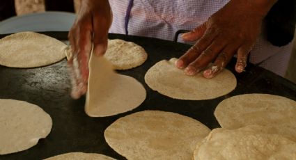 ¿Por qué subió el precio de la tortilla en febrero 2023?